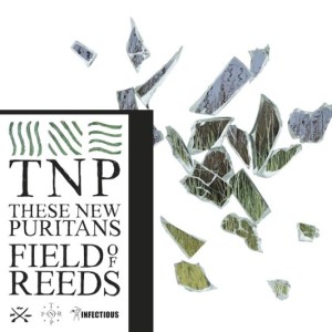 These-New-Puritans-Field-of-Reeds1