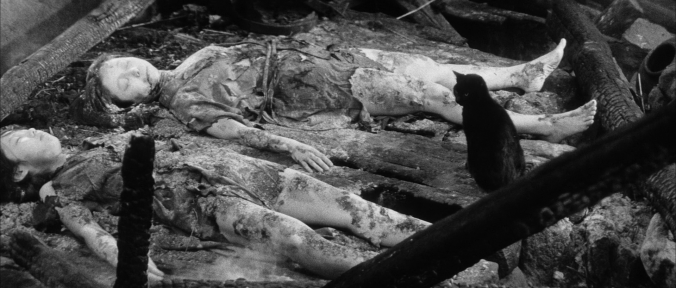 Yabu no naka no kuroneko