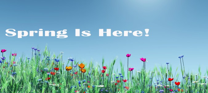 spring is here